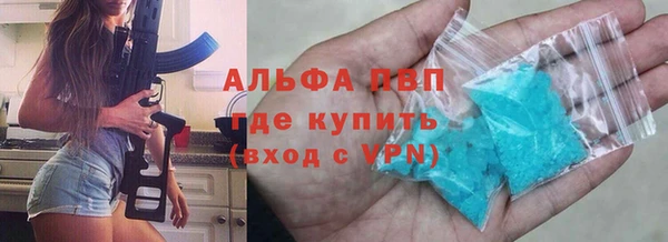 PSILOCYBIN Рославль