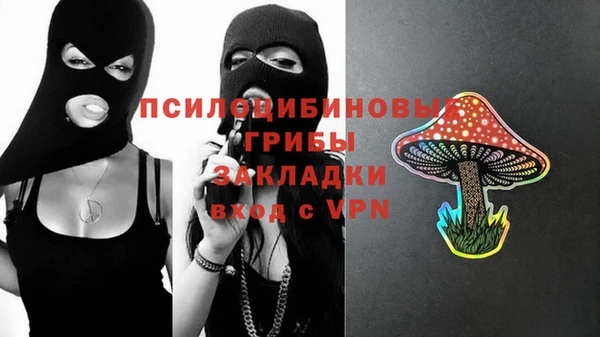 спиды Алексеевка